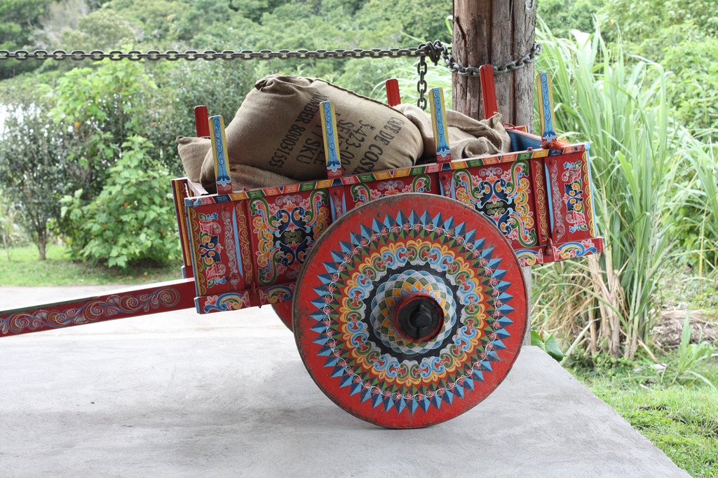 7 Costa Rica Coffee Tours that Will Elevate Your Palate Vacasa